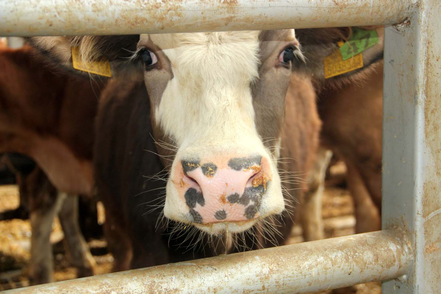 19 Mahalle Karantinaya Alındı (2)