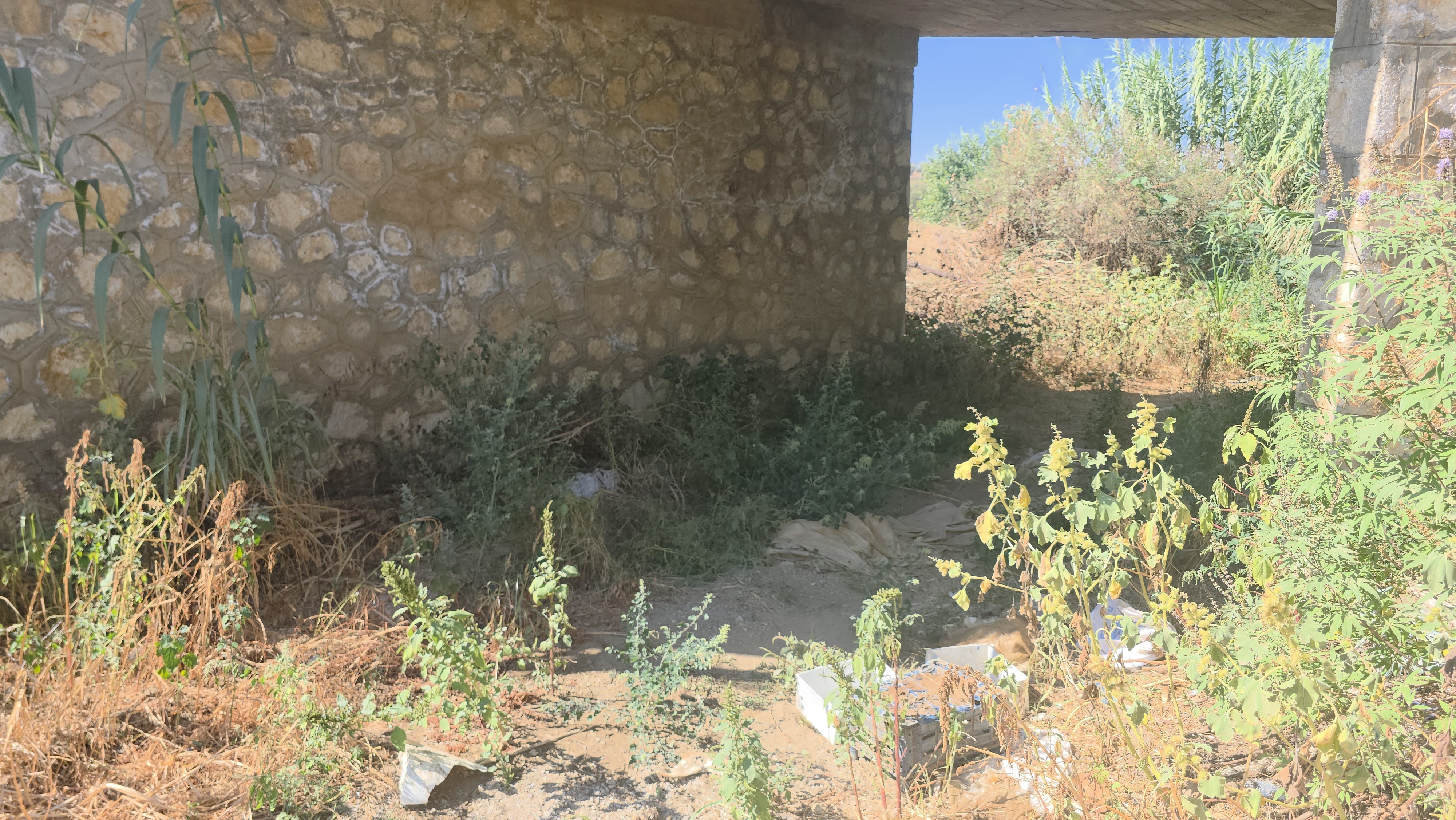 34 Yaşındaki Kadın Hakkında Kan Donduran Iddia.. Köprünün Altında.. (2)