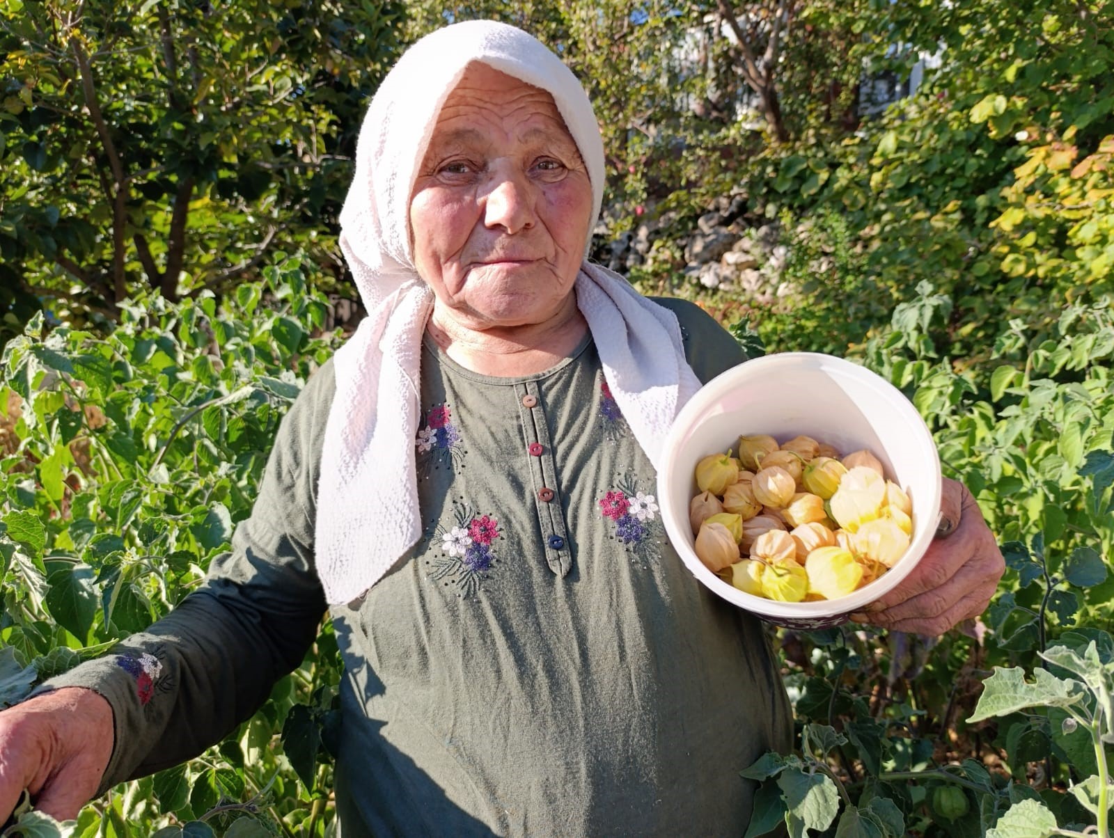 Altın Çilek Bereketi Pazar Tezgahına Yansıdı (4)