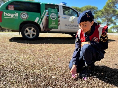 Aydın Jandarması Uyardı, 557 Bin Lira Cezası Var (2)