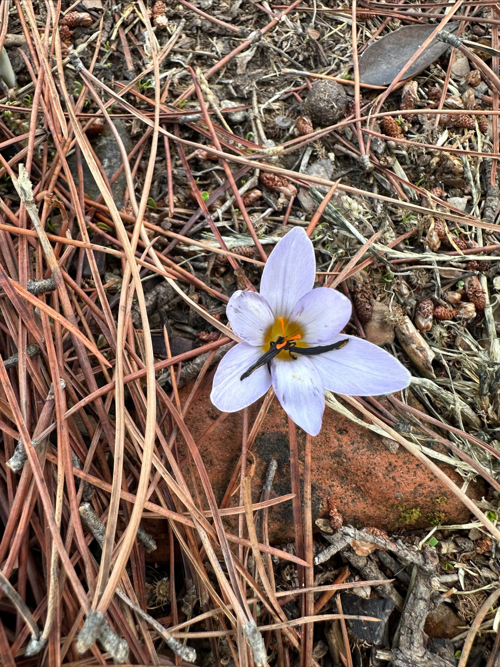 Aydın Jandarması Uyardı, 557 Bin Lira Cezası Var (3)