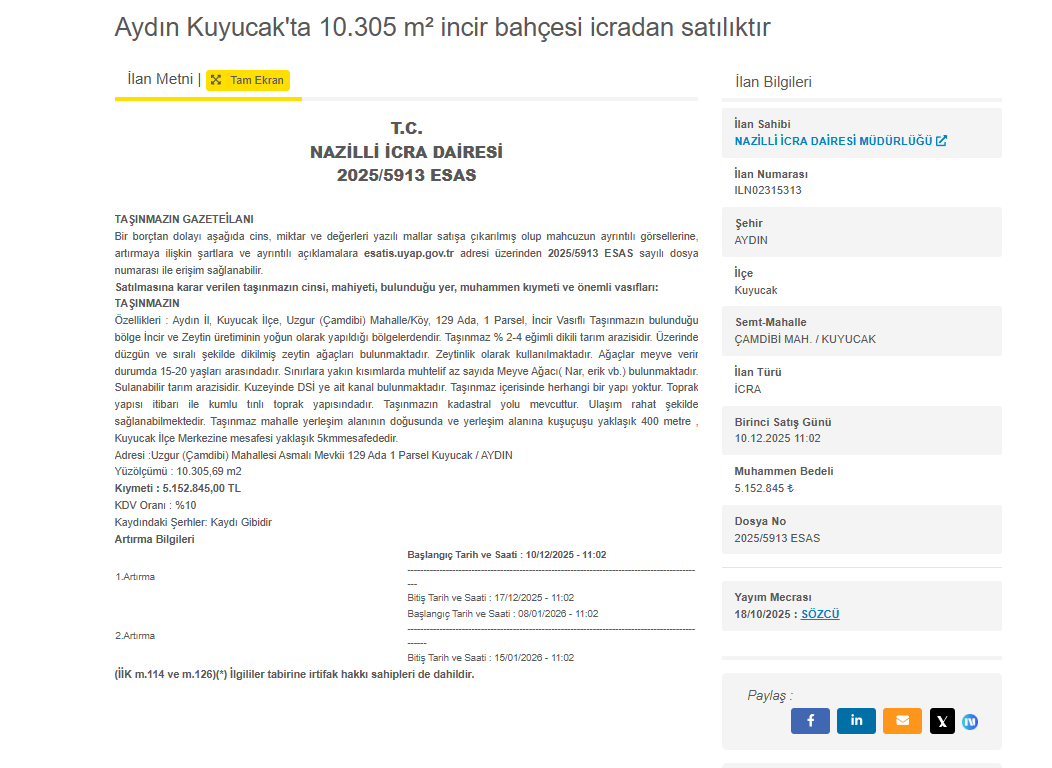 Aydın’da 10 Dönümlük Zeytinlik Icradan Satışa Çıkıyor (1)-1