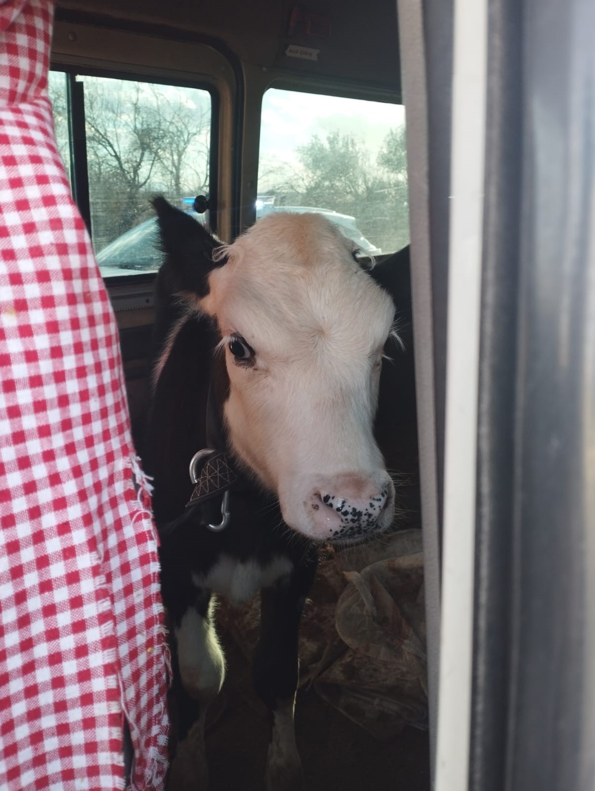 Aydın’da Çaldılar, Konya’da Yakalandılar (3)