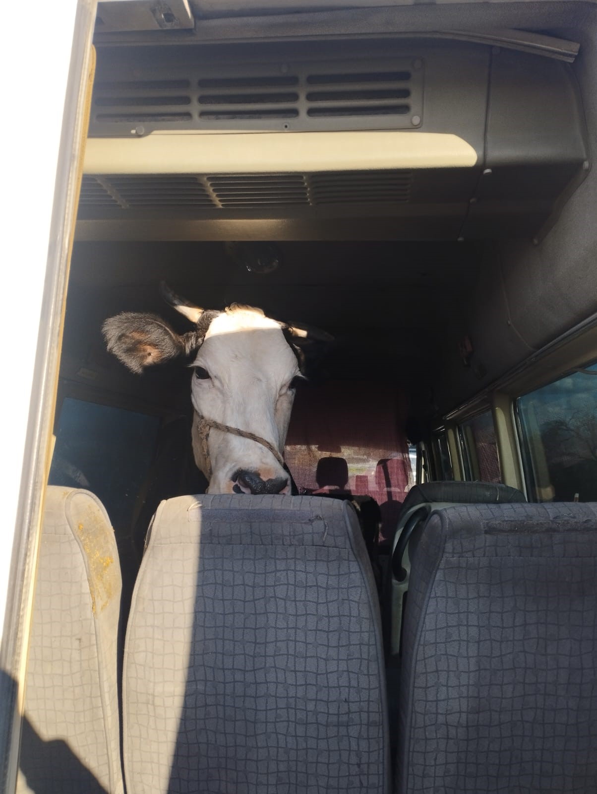 Aydın’da Çaldılar, Konya’da Yakalandılar (4)