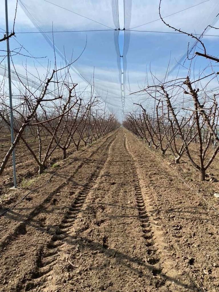 Aydın’da Çiftçilerin Güvencesi Bu Oldu (3)-1