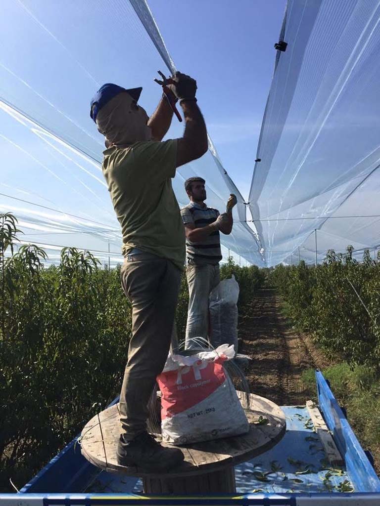 Aydın’da Çiftçilerin Güvencesi Bu Oldu (4)-1