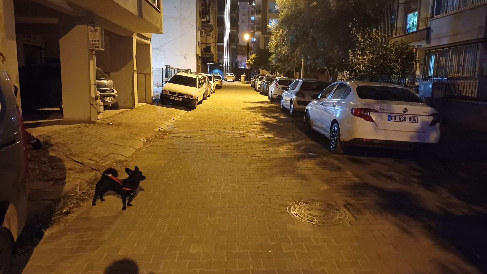 Aydın’da Deprem Sonrası Vatandaşlar Sokağa Çıktı (2)