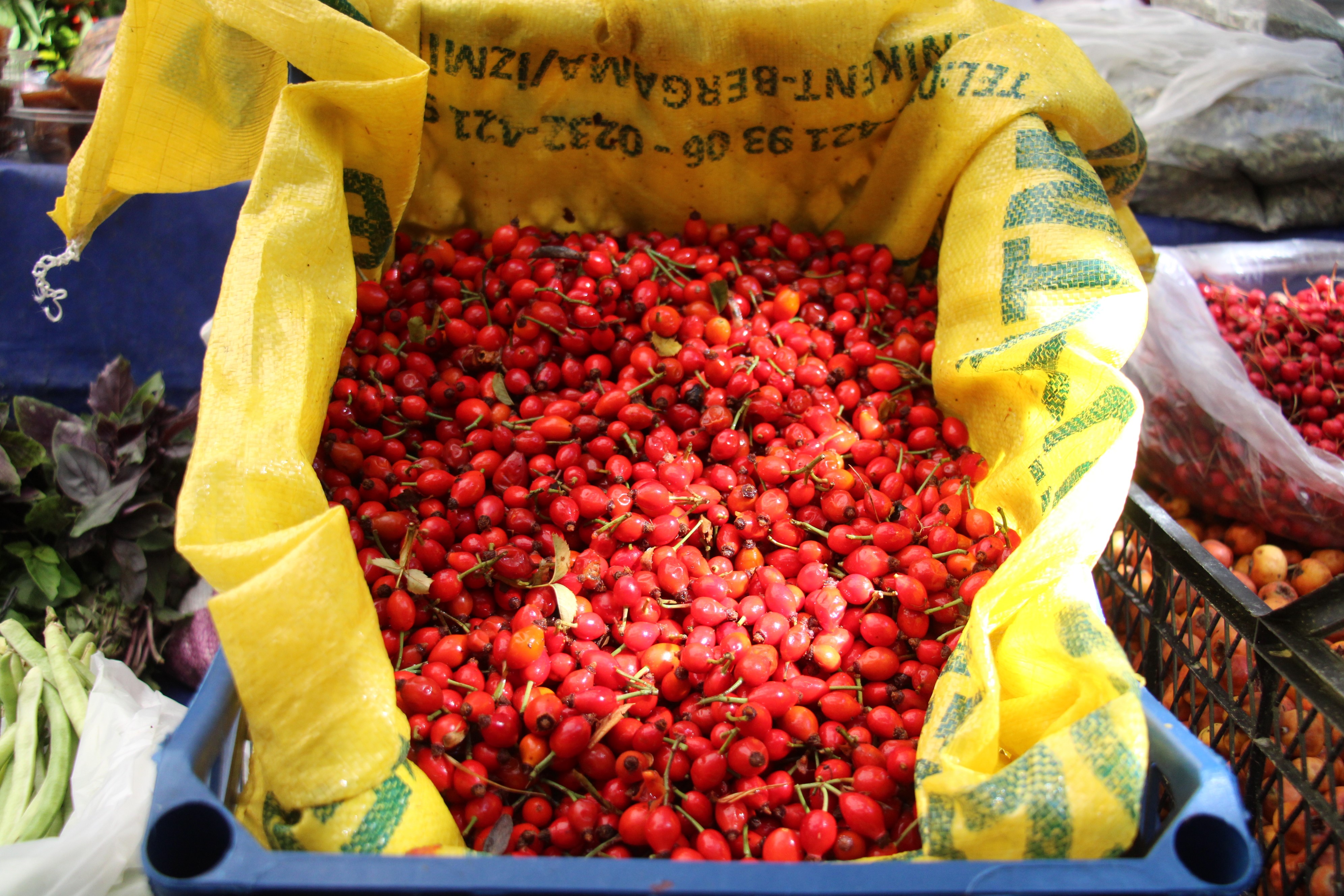 Aydın’da Dikenlerin Arasından Zahmetle Toplanıyor, Şifa Kaynağı Tezgahta (7)