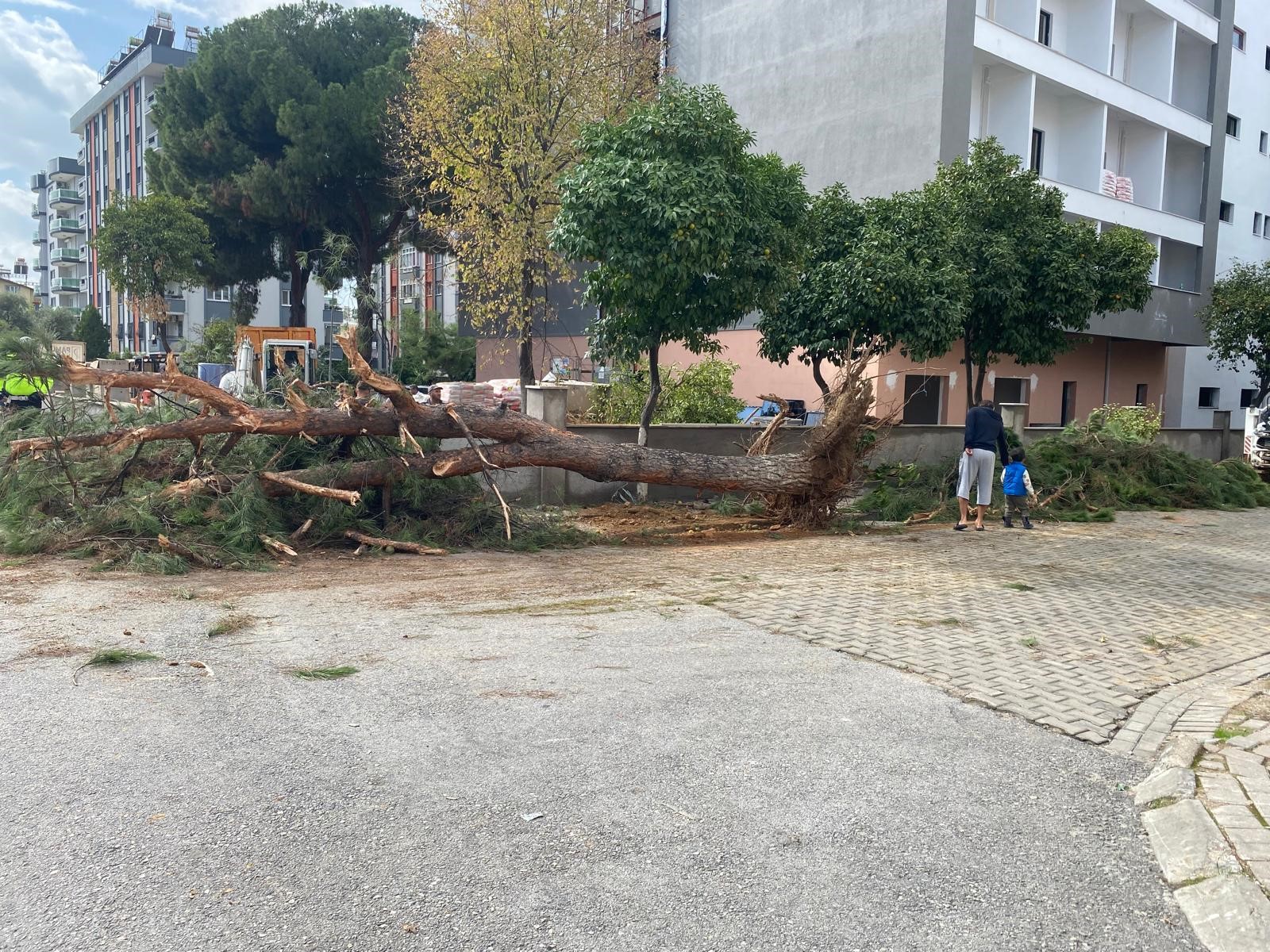 Aydın’da Faciadan Dönüldü (2)-5