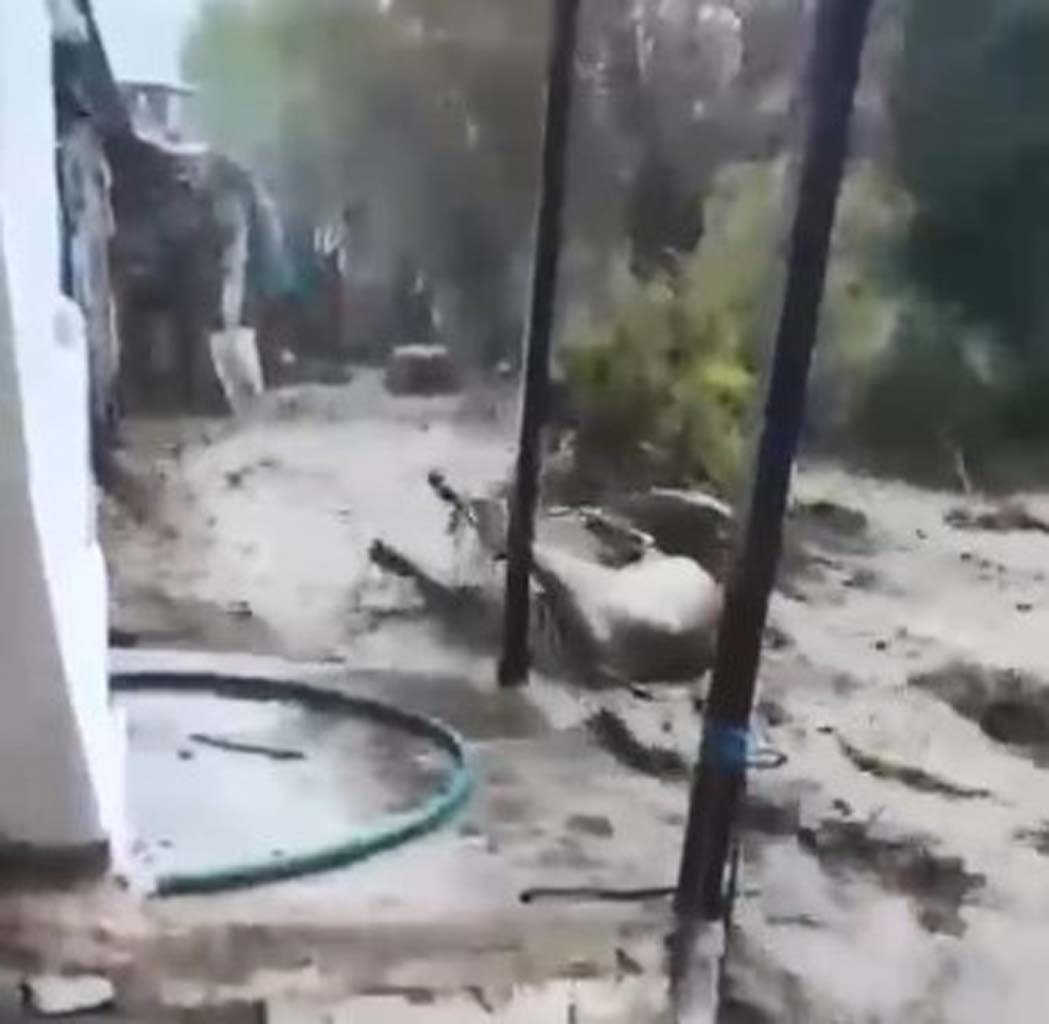 Aydın’da Hayvanlar Sele Kapıldı, O Anlar Kameraya Yansıdı (3)-1