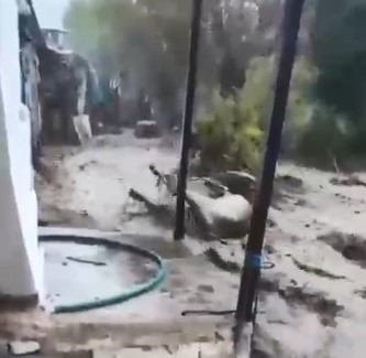 Aydın’da Hayvanlar Sele Kapıldı, O Anlar Kameraya Yansıdı (3)