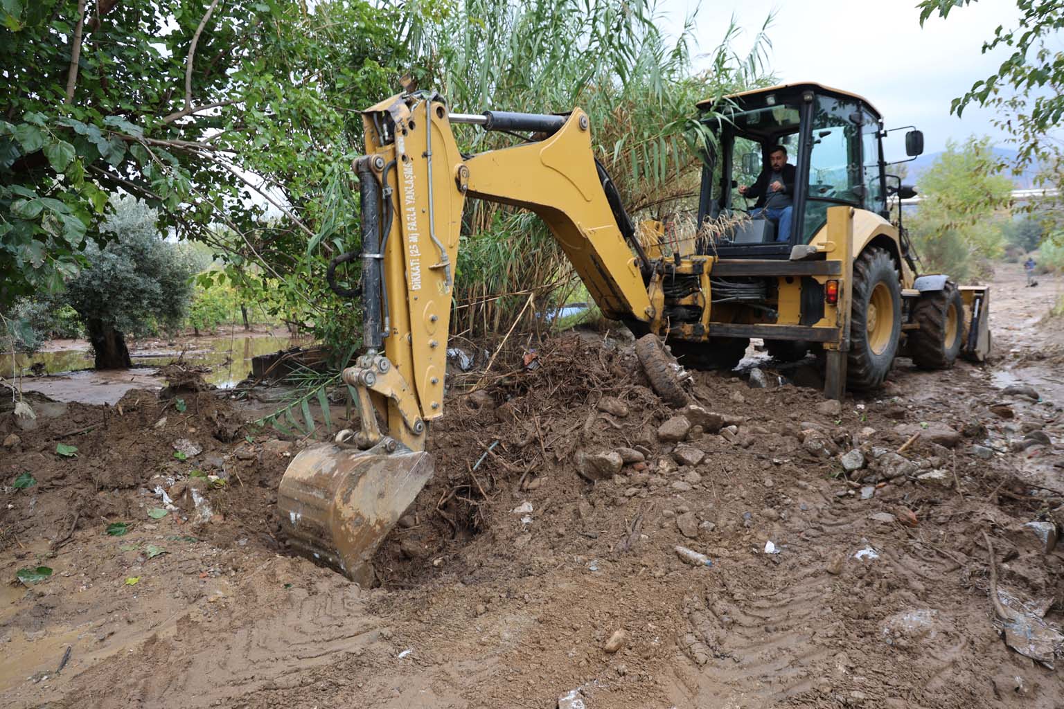 Aydın’da Hayvanlar Sele Kapıldı, O Anlar Kameraya Yansıdı (5)