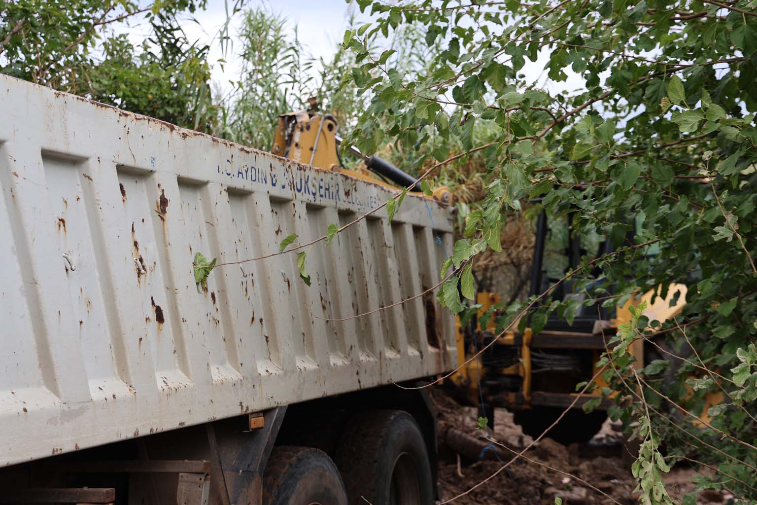 Aydın’da Hayvanlar Sele Kapıldı, O Anlar Kameraya Yansıdı (6)