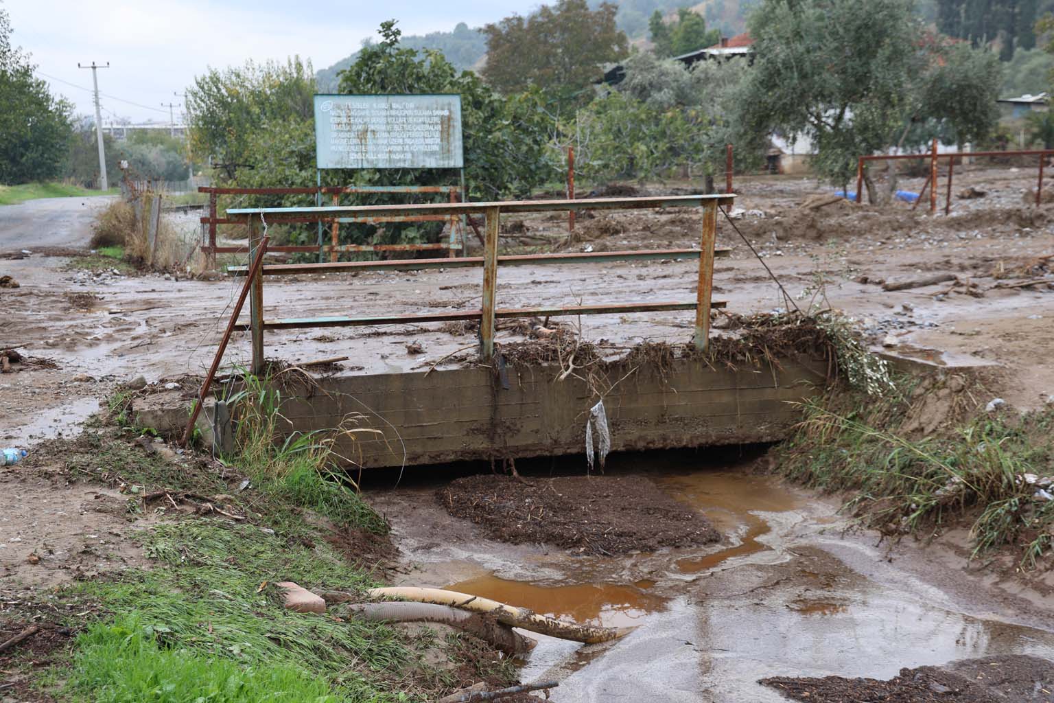 Aydın’da Hayvanlar Sele Kapıldı, O Anlar Kameraya Yansıdı (9)