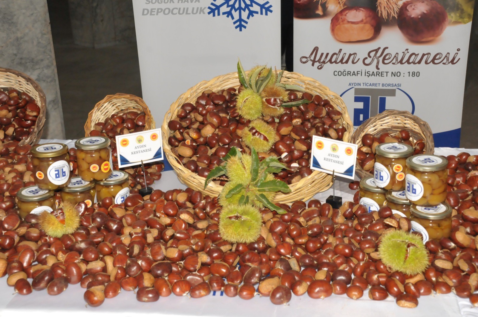 Aydın’da Ilk Kestane Kilosu 550 Liradan Satıldı (7)