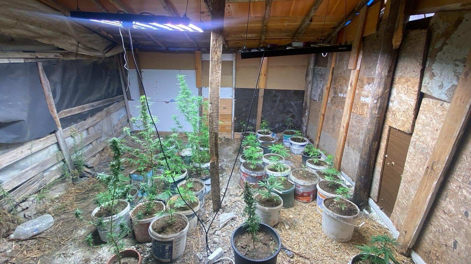 Aydın’da Jandarma Evi Bastı, Yakalandılar