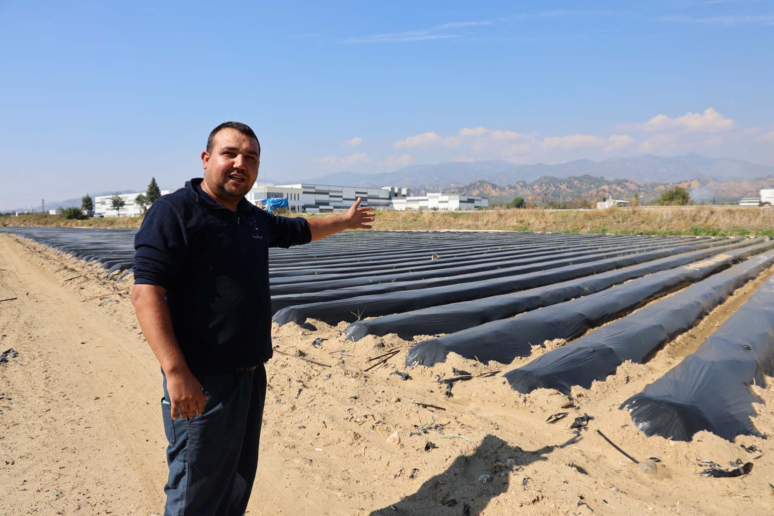 Aydın’da Kış Çileği Hazırlıkları Başladı (3)