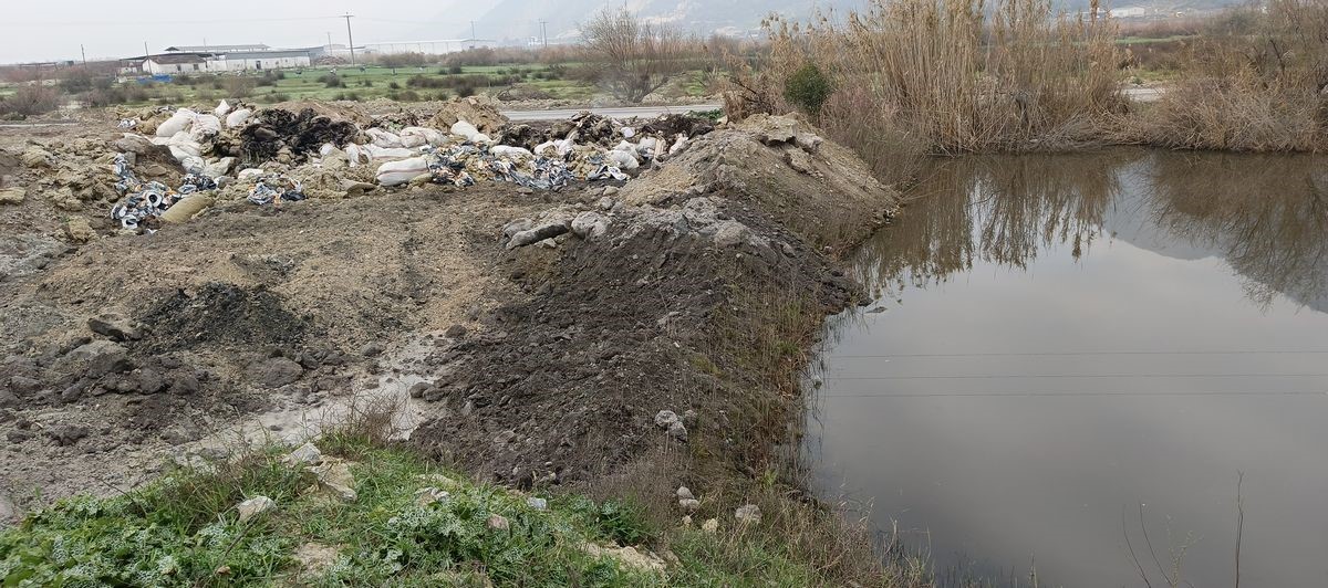 Aydın’da Mide Bulandıran Görüntüler (4)