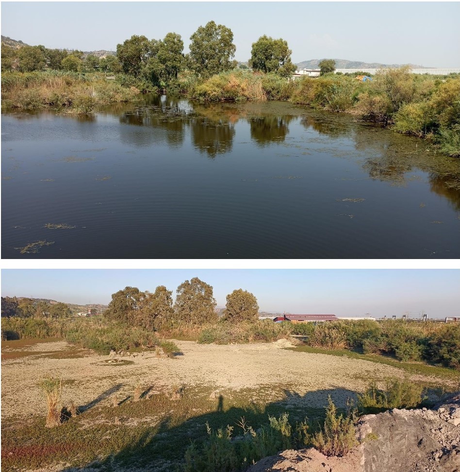 Aydın’da Mide Bulandıran Görüntüler (8)