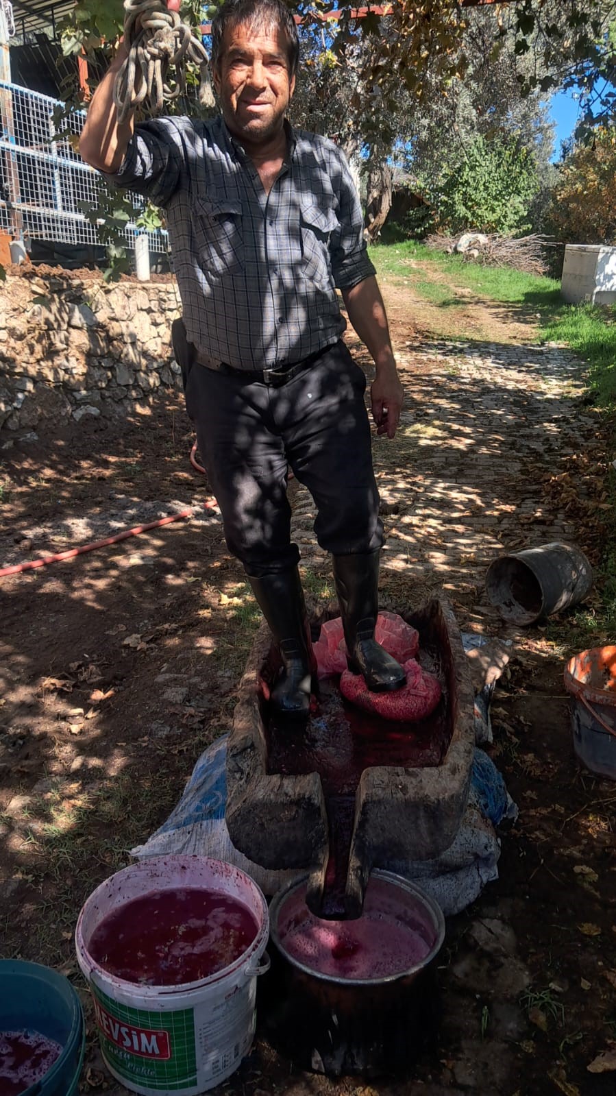 Aydın’da Narlar Geleneksel Yöntemle Ekşiye Dönüşüyor (3)