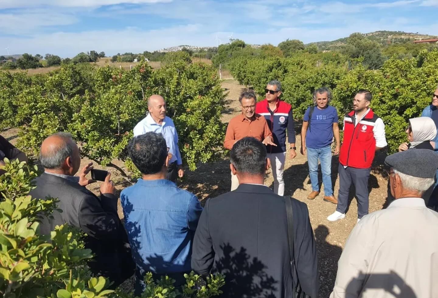 Aydın’da Sakız Ağacı Gelişmesi (4)