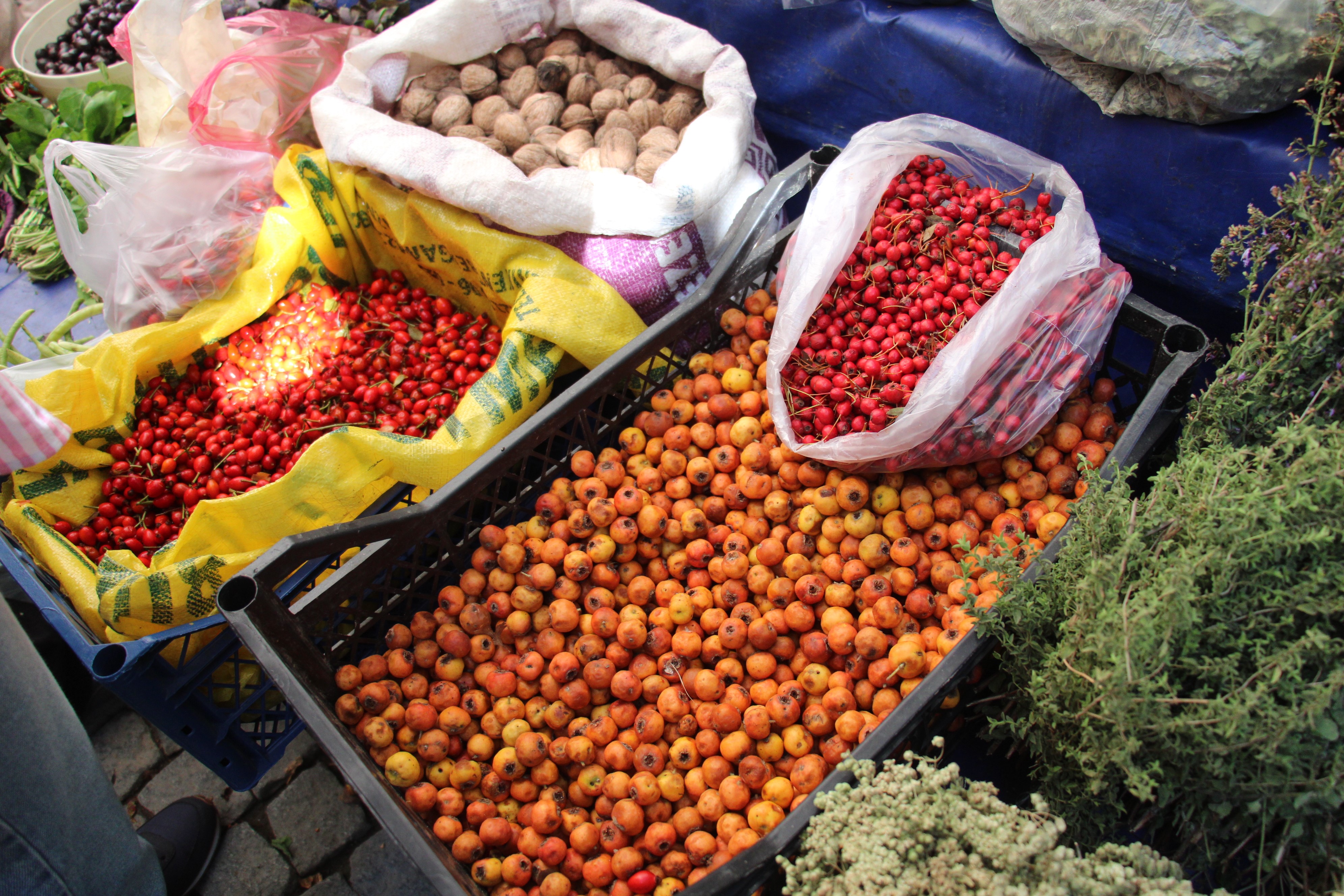 Aydın’da Şifa Kaynağı Tezgaha Çıktı.. İşte Faydaları (4)