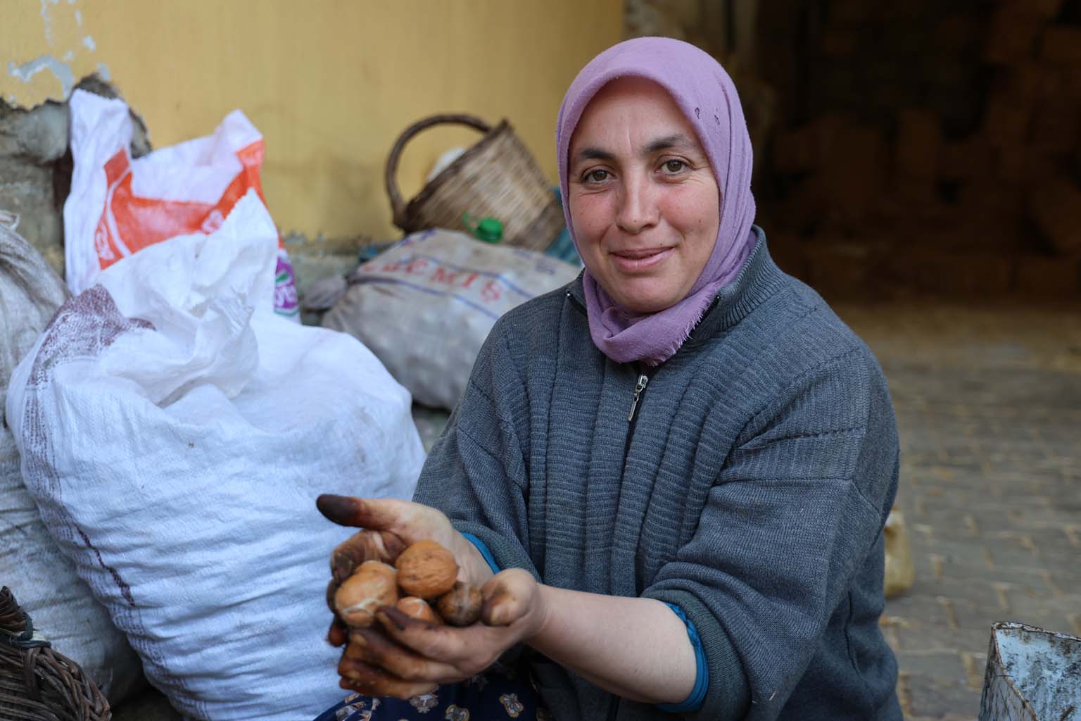 Aydın’da Toplanan Cevizler Kabuklarından Ayıklandı, Satışa Hazırlanıyor (6)