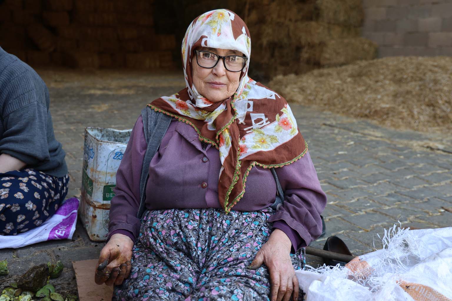 Aydın’da Toplanan Cevizler Kabuklarından Ayıklandı, Satışa Hazırlanıyor (8)