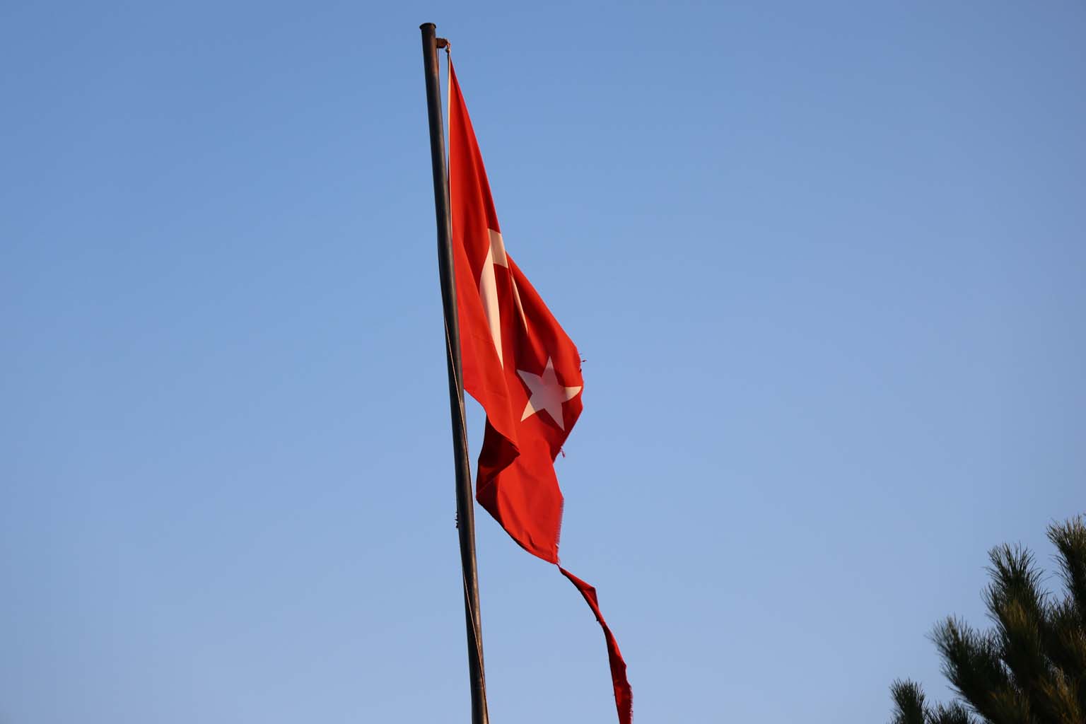 Aydın’da Yırtılan Türk Bayrağı Değiştirilmeyi Bekliyor (5)