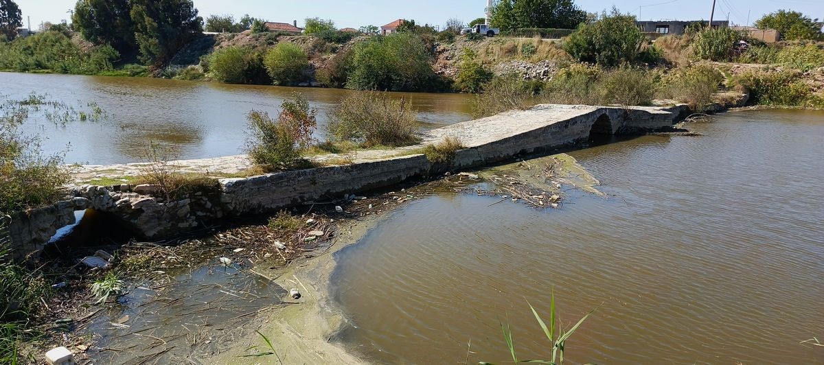 Aydın’daki Tarihi Taşköprü Alarm Veriyor (2)