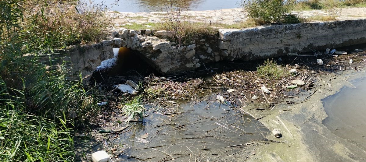 Aydın’daki Tarihi Taşköprü Alarm Veriyor (3)