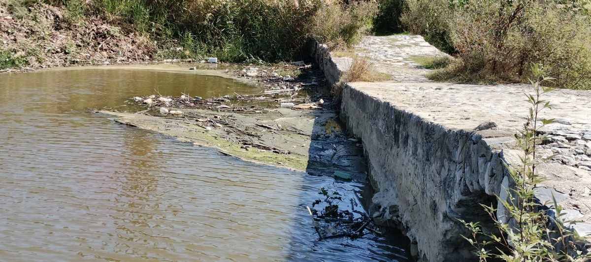 Aydın’daki Tarihi Taşköprü Alarm Veriyor (4)