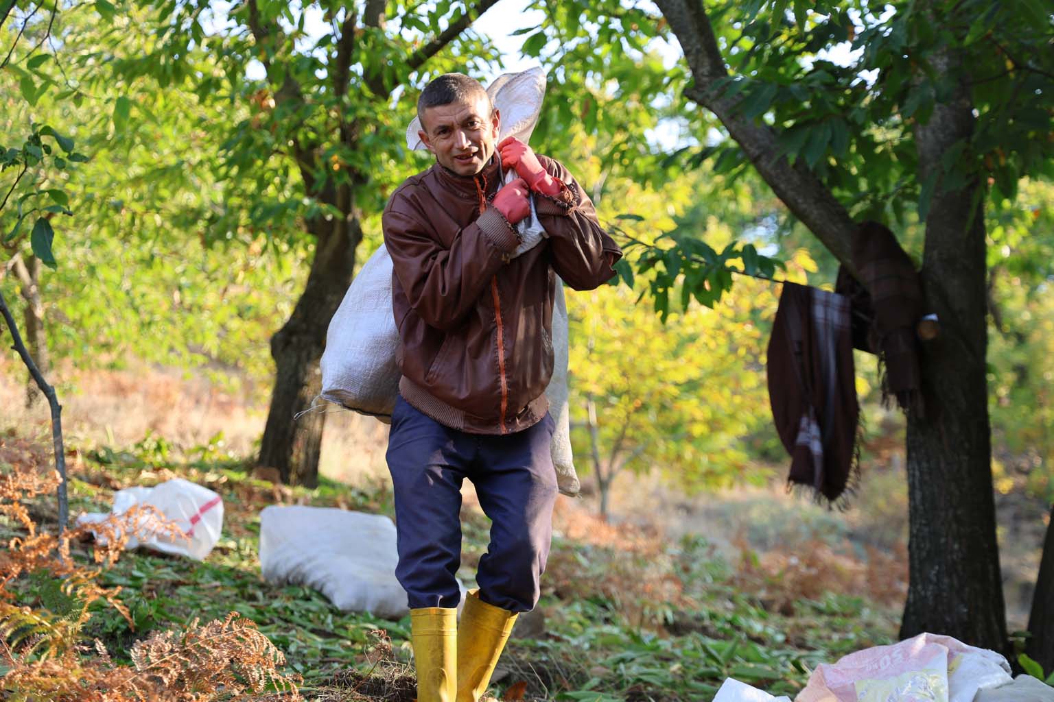 Aydın’ın Dağlarında Kestane Telaşı Başladı (8)