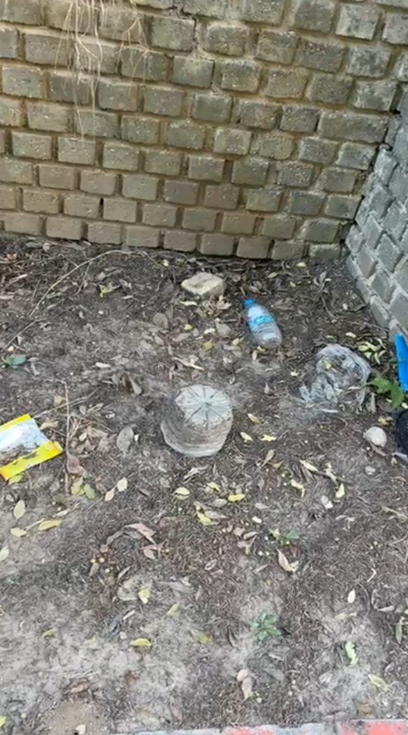 Aydın’ın Gözde Bölgesiydi, Şimdi Çöplüğe Döndü (5)