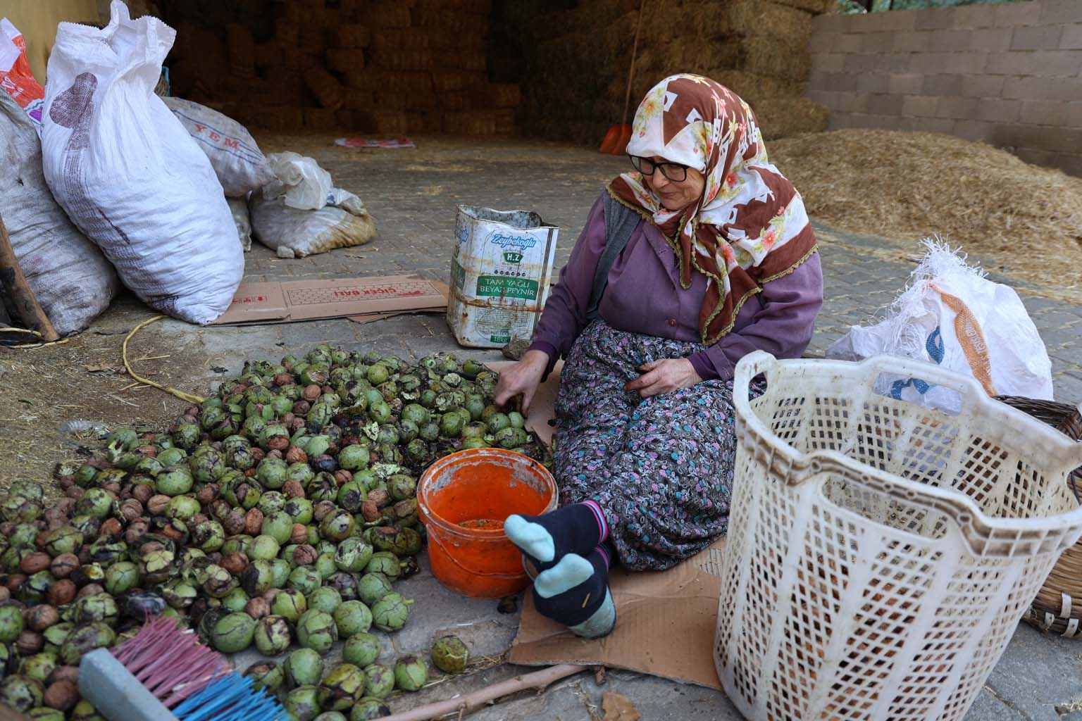 Aydınlı Dursun Nine 74 Yaşında Ama Çalışmaya Devam Ediyor (3)