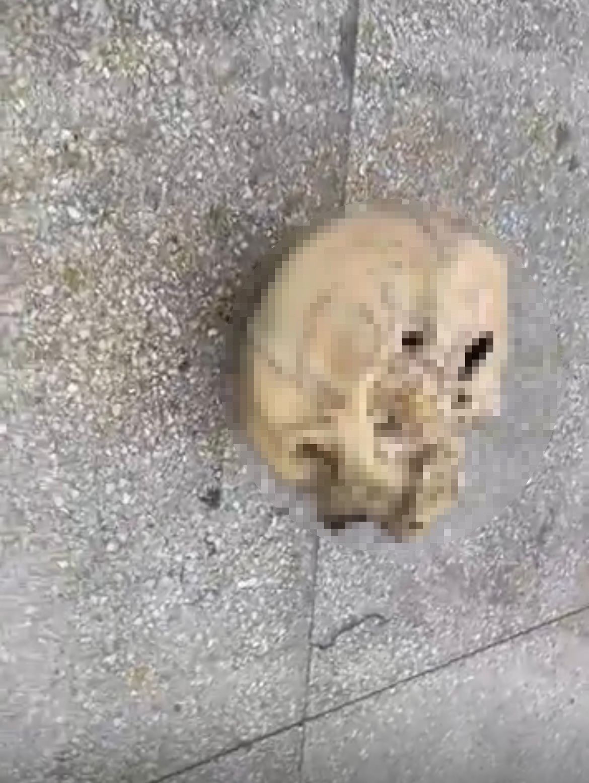 Balık Beklerken Kafatası Yakaladı (6)