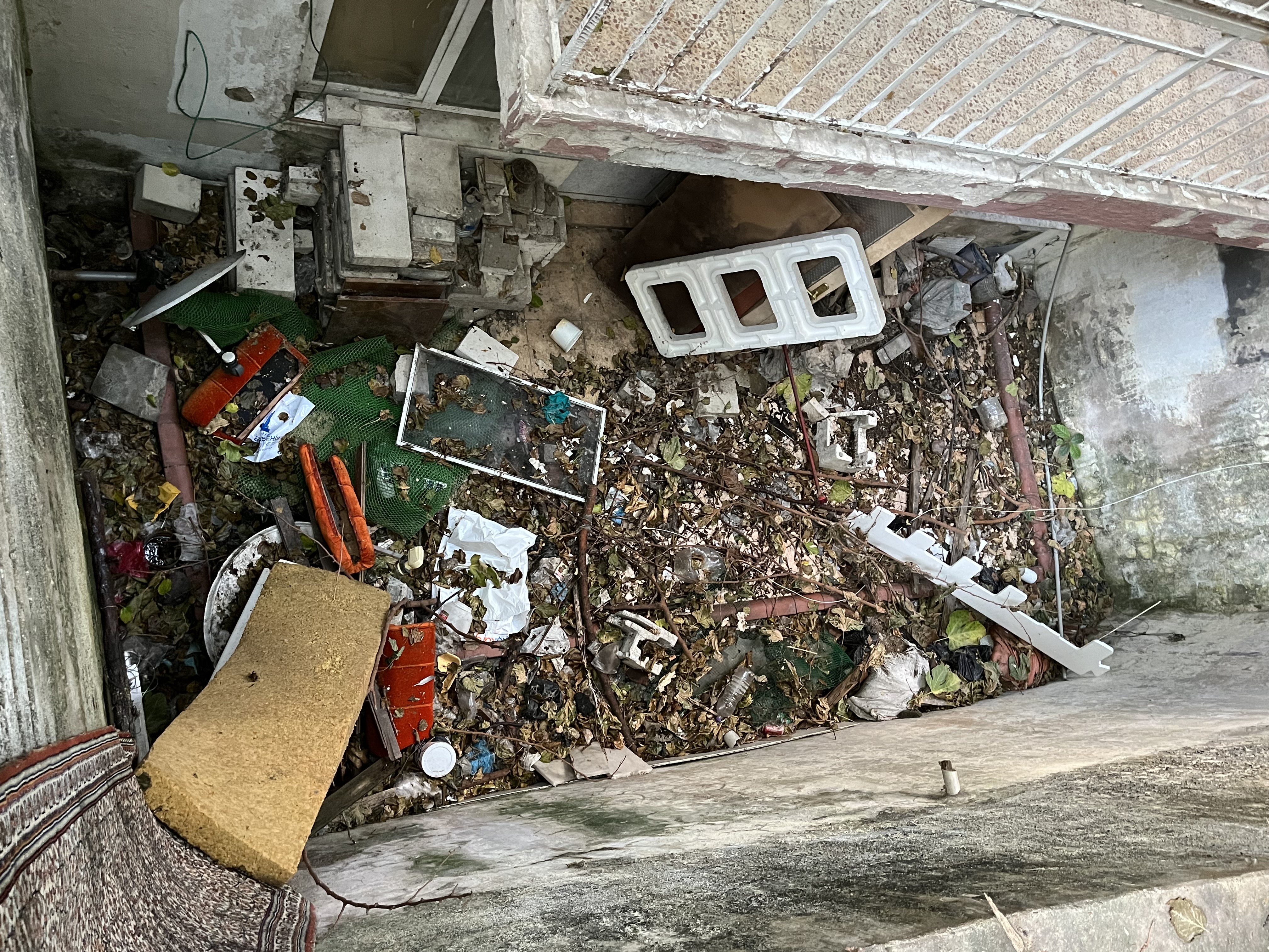 Bu Eve Kimse Yaklaşamıyor, Içeriden Böcekler, Fareler Çıkıyor (5)