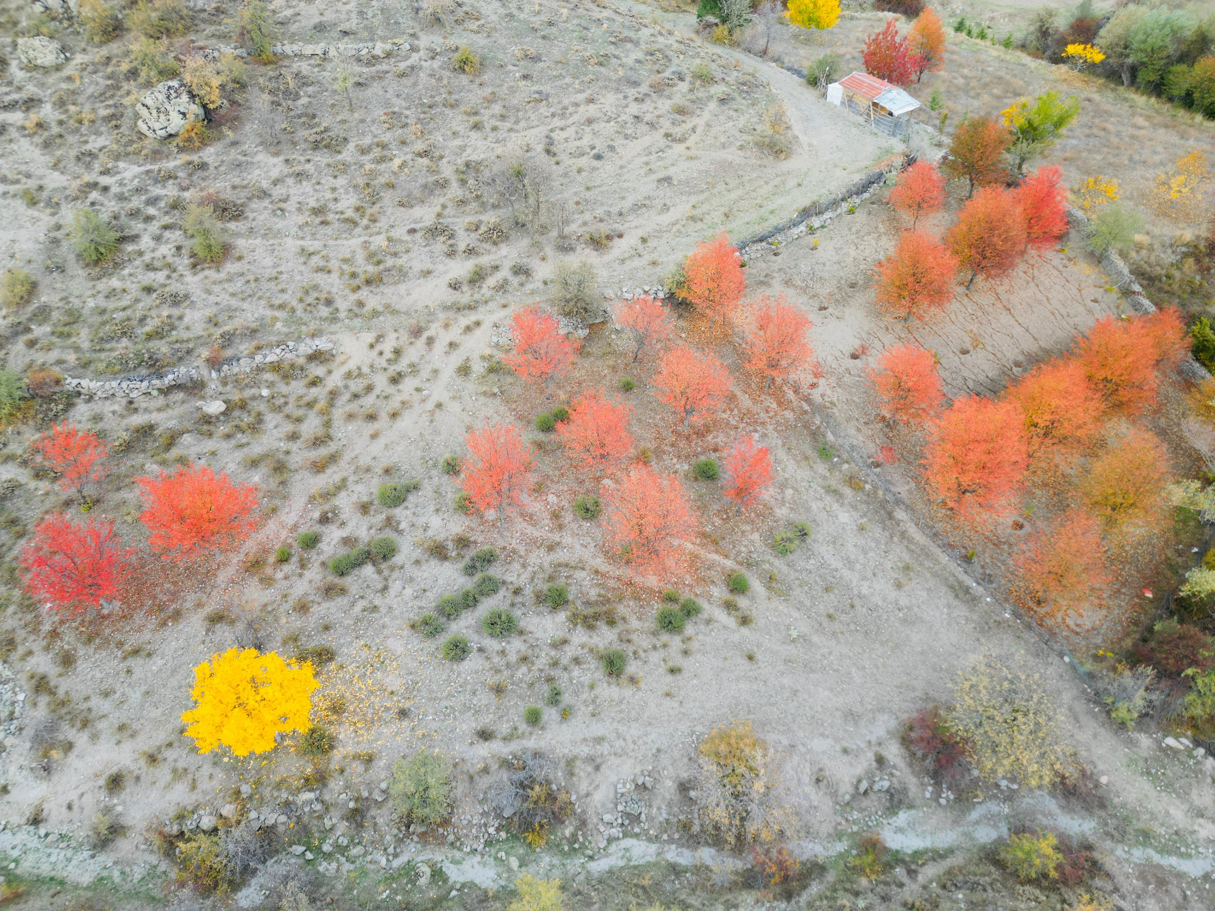Burada Sonbahar Manzarası Yağlı Boya Tablolarını Andırıyor (2)