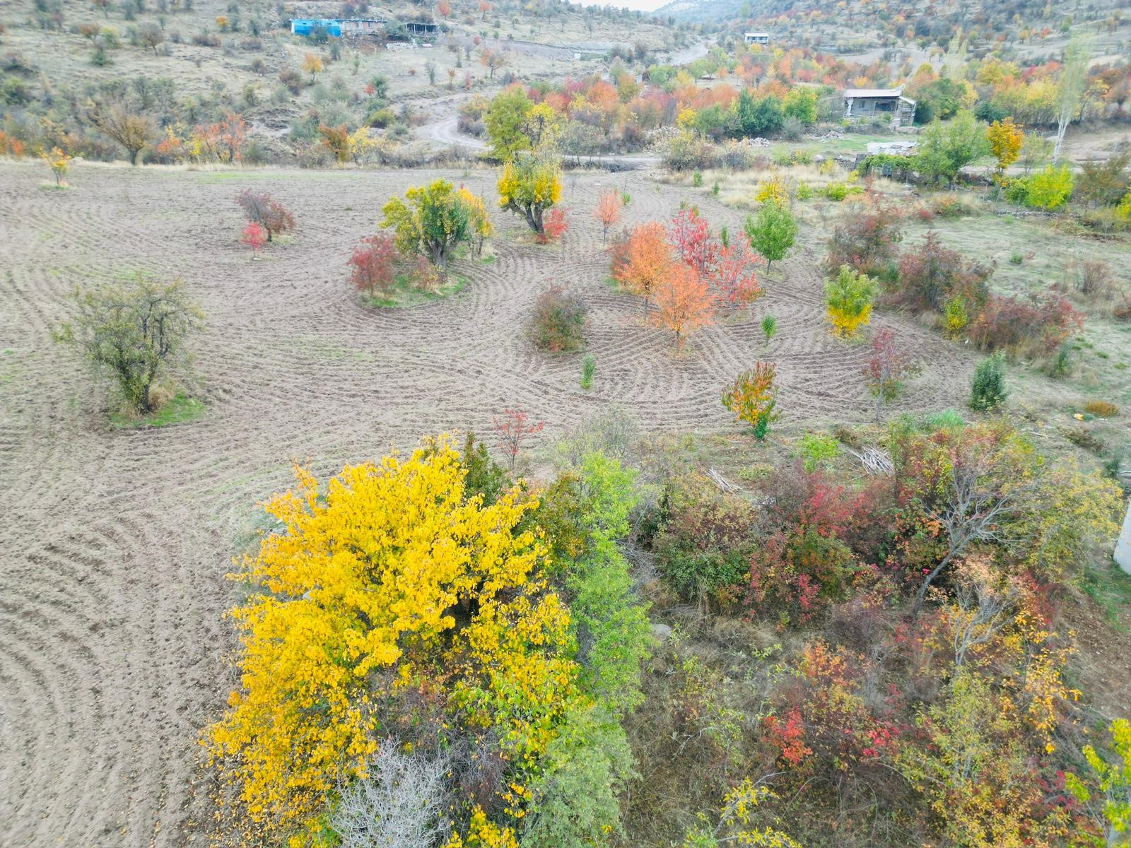 Burada Sonbahar Manzarası Yağlı Boya Tablolarını Andırıyor (4)