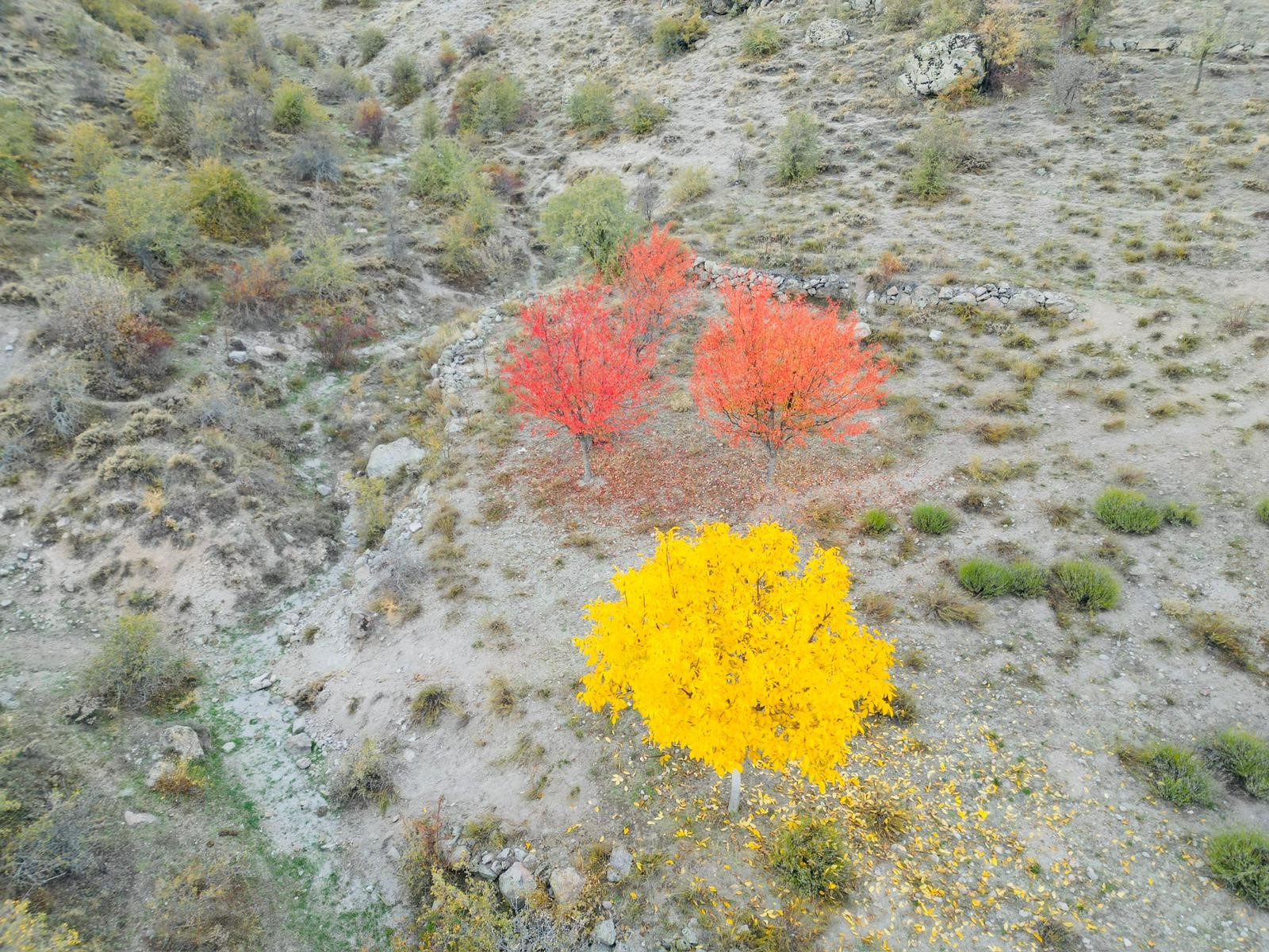 Burada Sonbahar Manzarası Yağlı Boya Tablolarını Andırıyor (5)