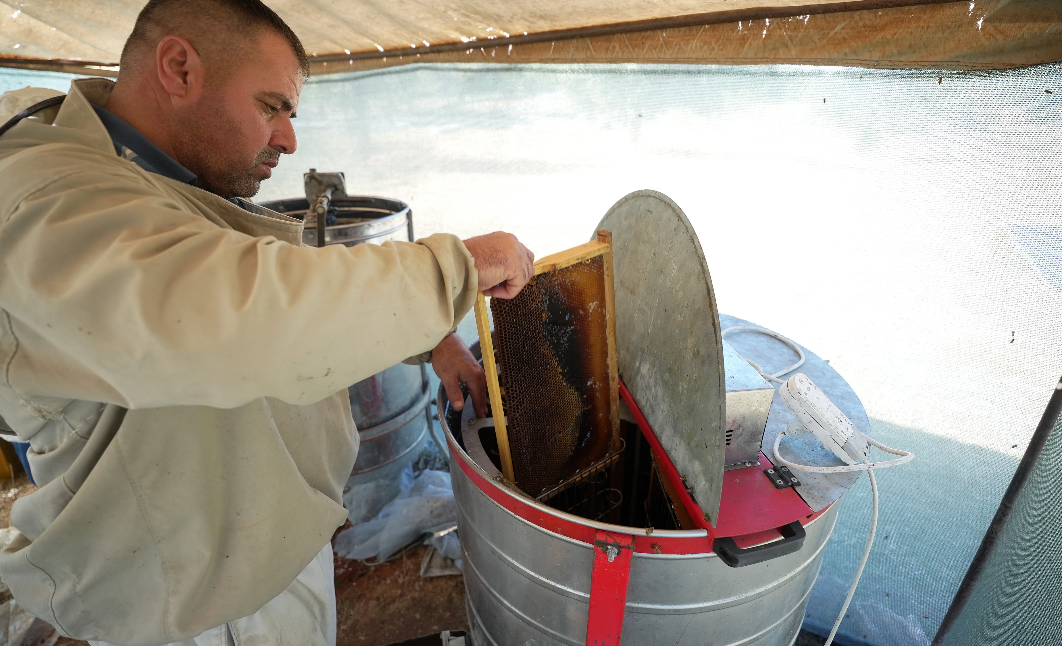 Çam Balından Iyi Haber.. Beklentiler Açıklandı (10)