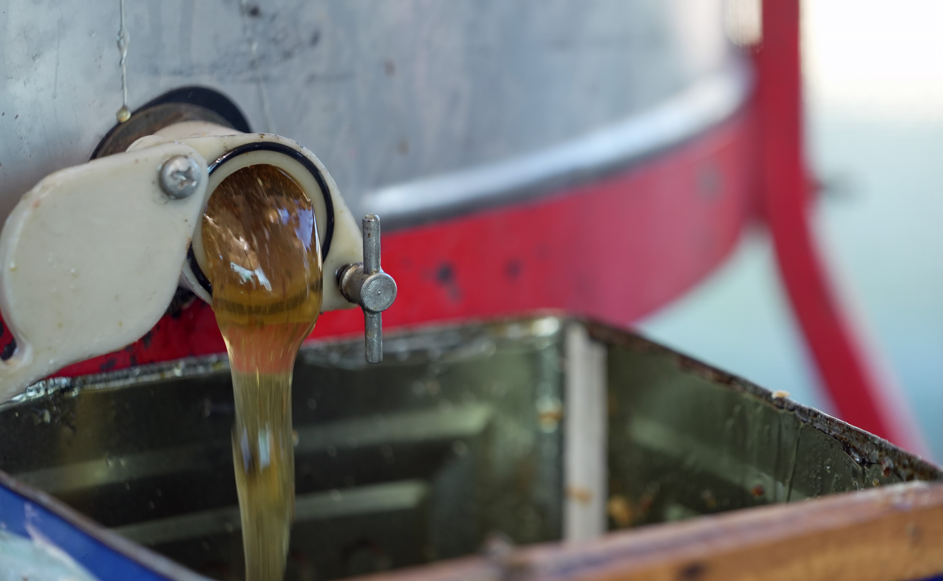 Çam Balından Iyi Haber.. Beklentiler Açıklandı (11)