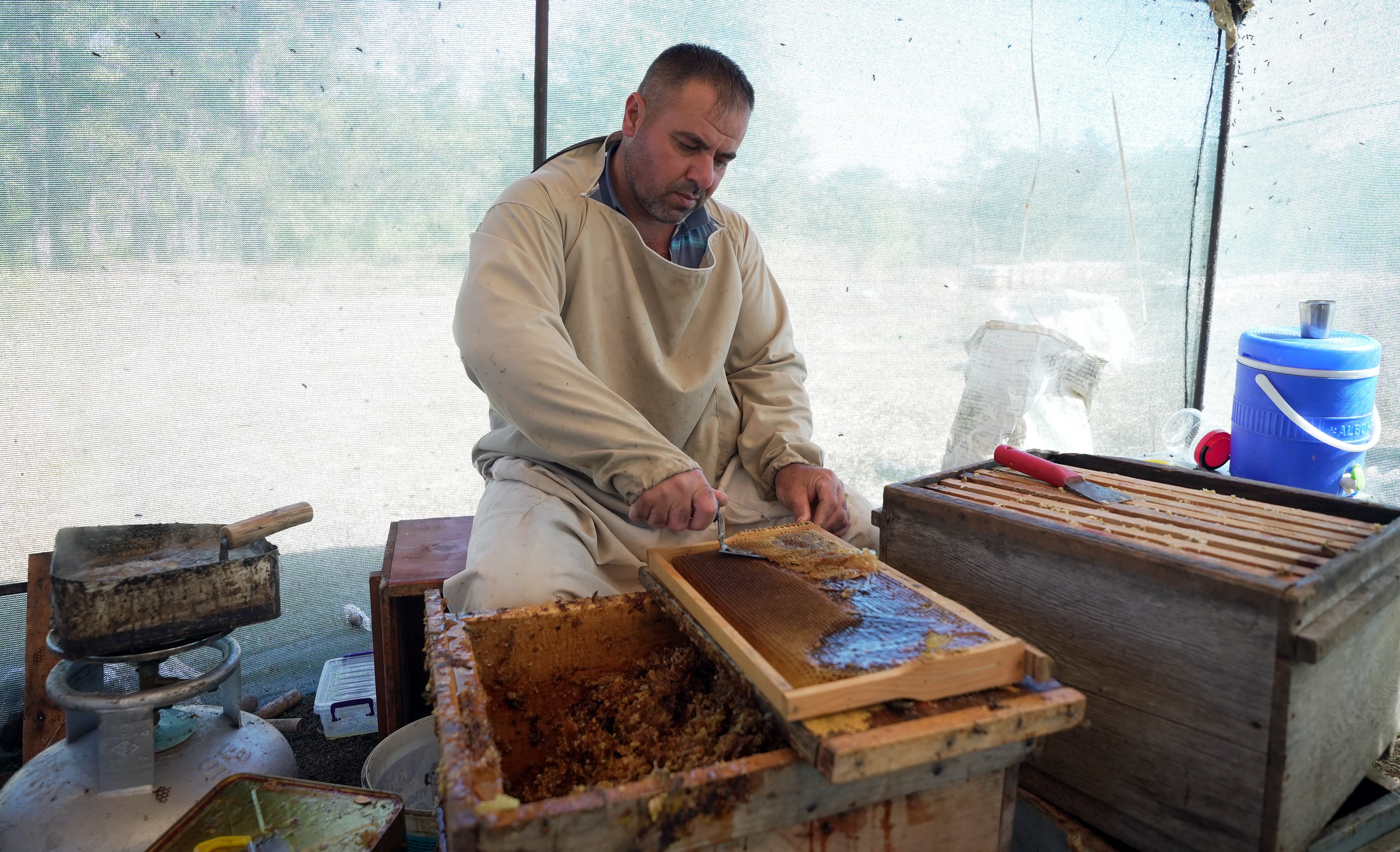 Çam Balından Iyi Haber.. Beklentiler Açıklandı (8)
