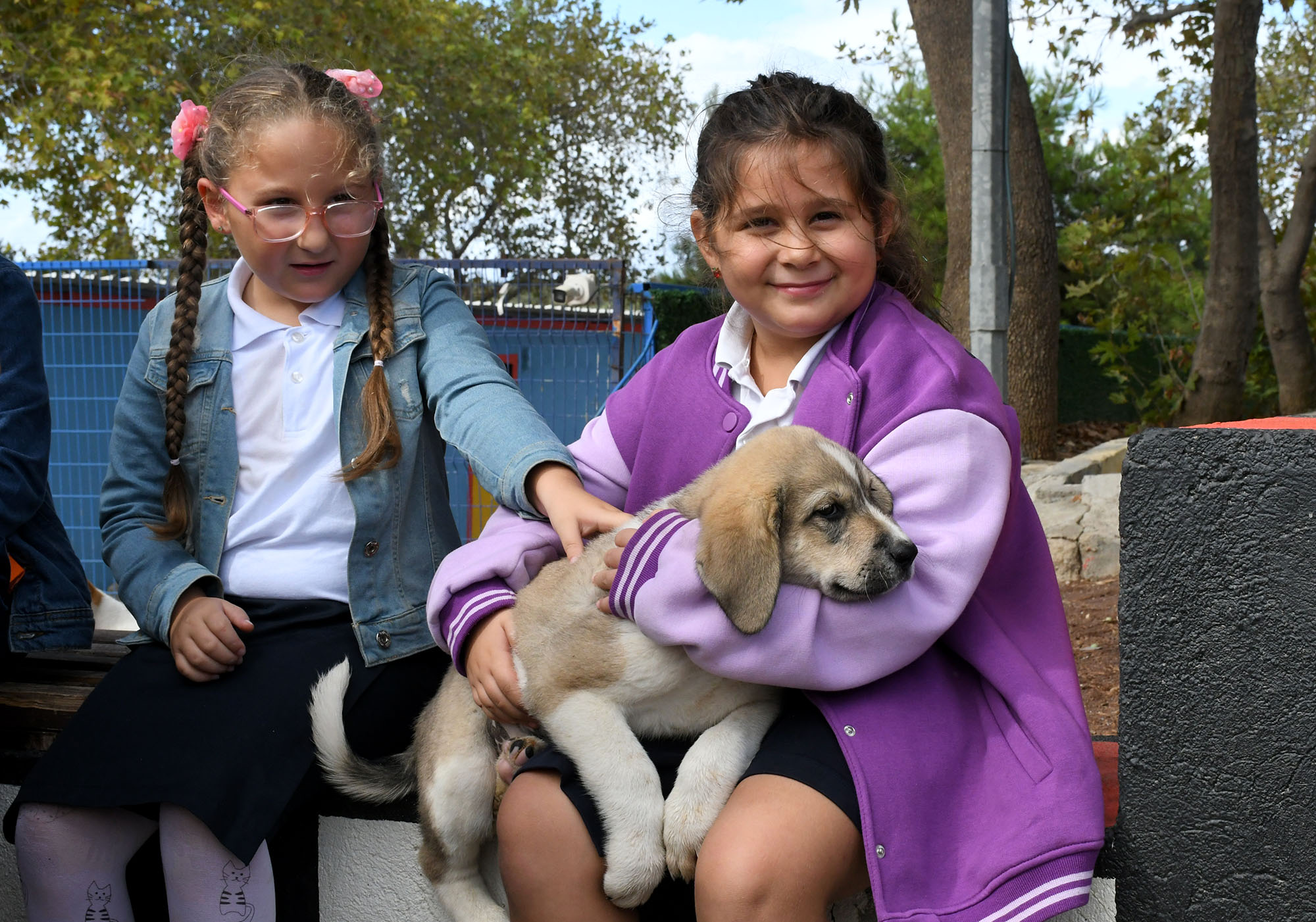 Dünya Hayvanlari Koruma Günü (5)