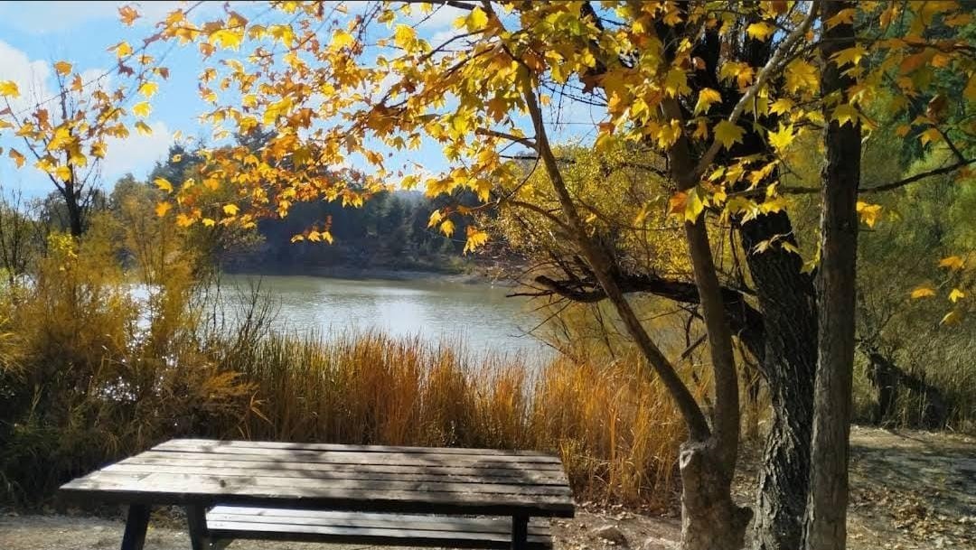 Ege’de Korkutan Görüntü.. Göl Kurudu (4)