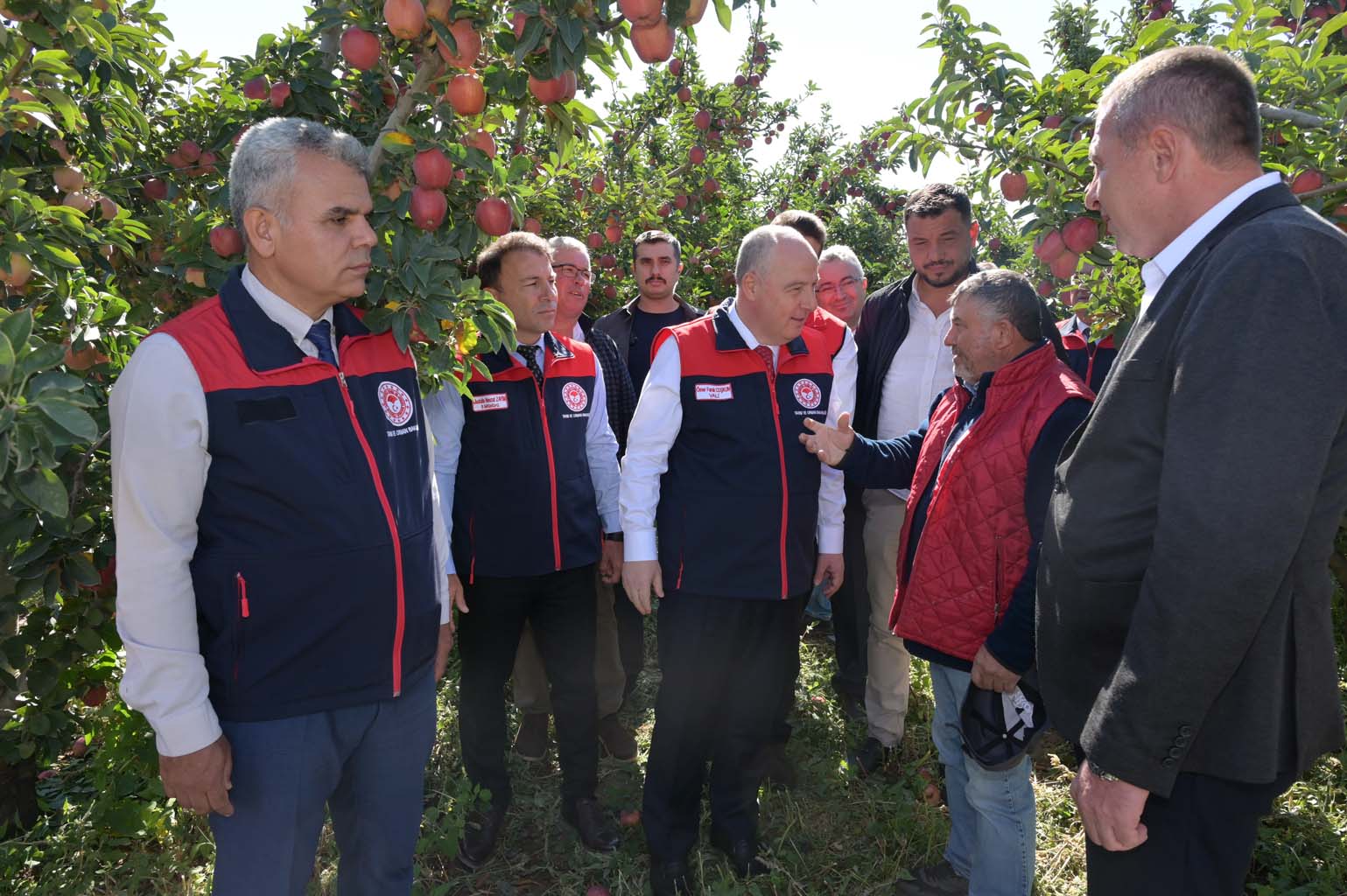 Elma Üreticisinin Yüzü Gülüyor (4)