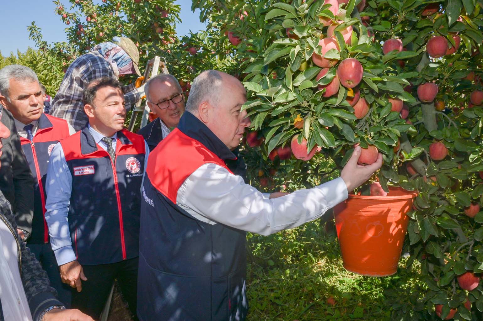 Elma Üreticisinin Yüzü Gülüyor (7)