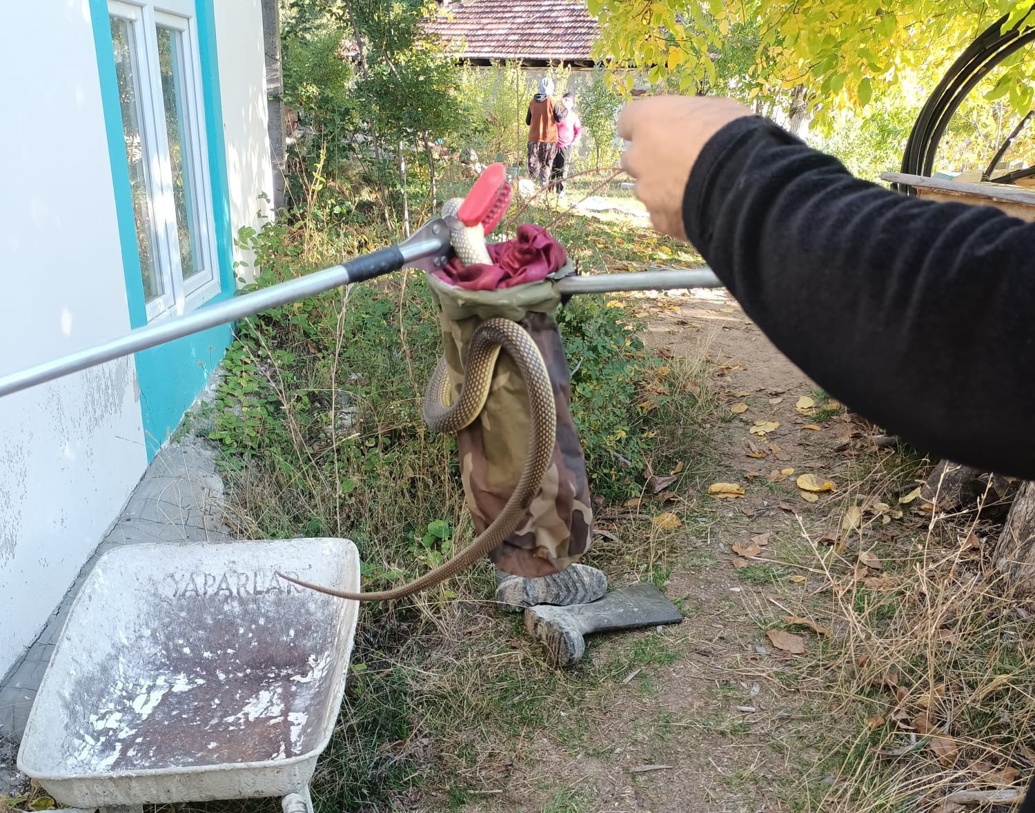 Eve Yılan Girdi (2)