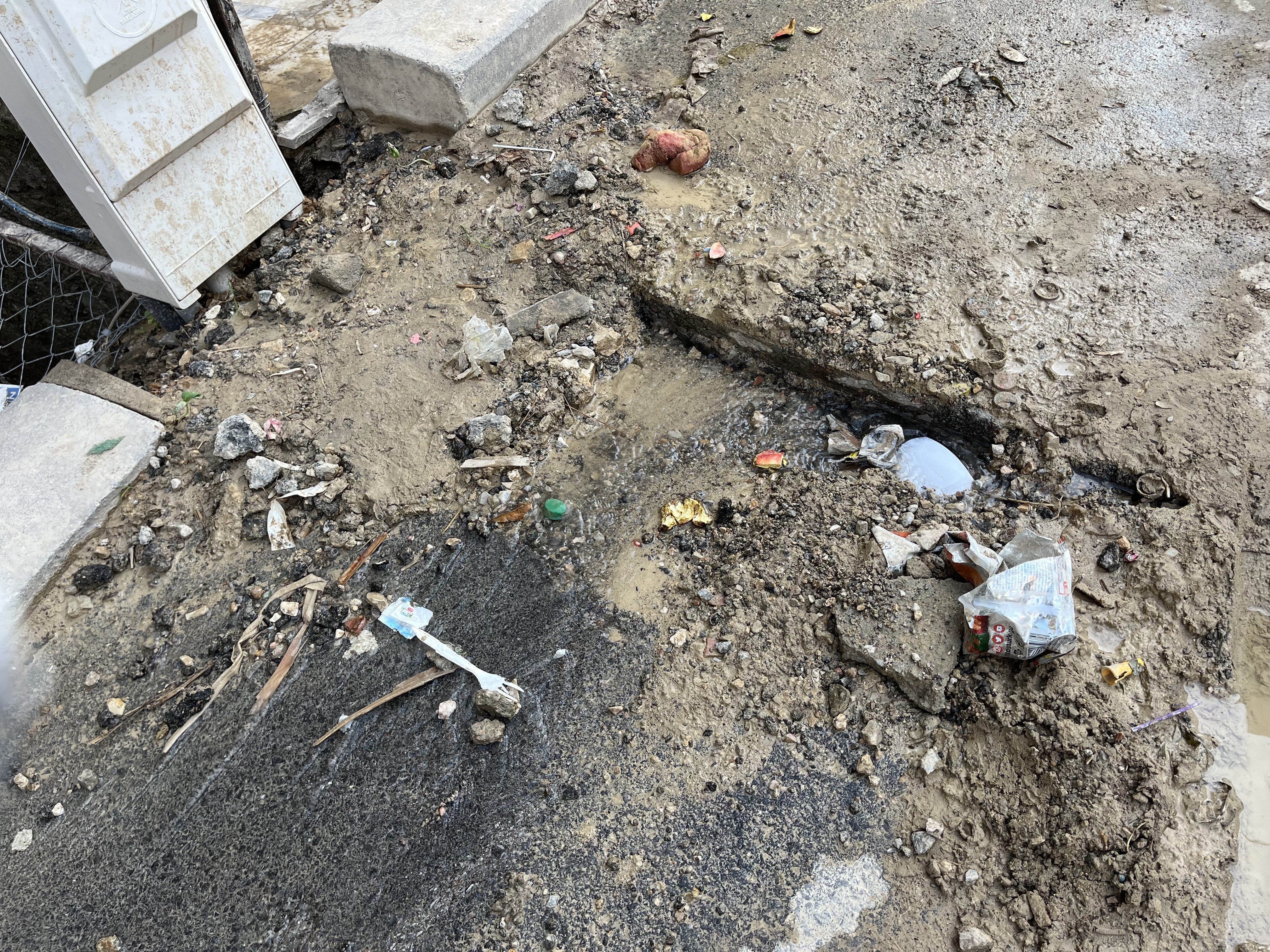 Evleri Su Bastı (6)