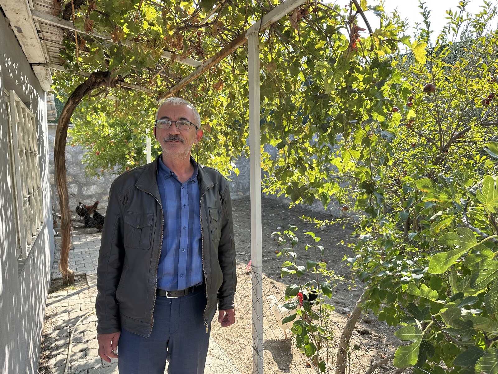 İnek Ve Tavuklar Şikayet Konusu Oldu (5)